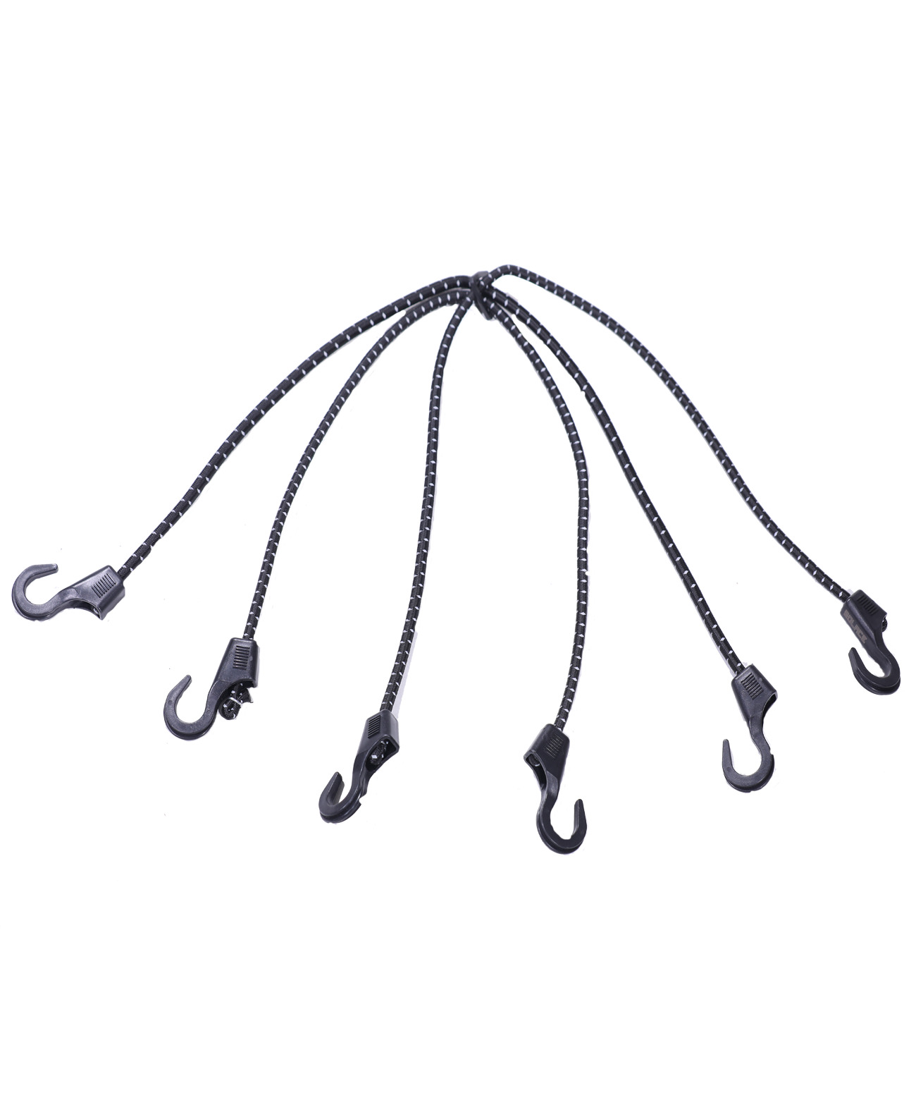spider-bungee-1