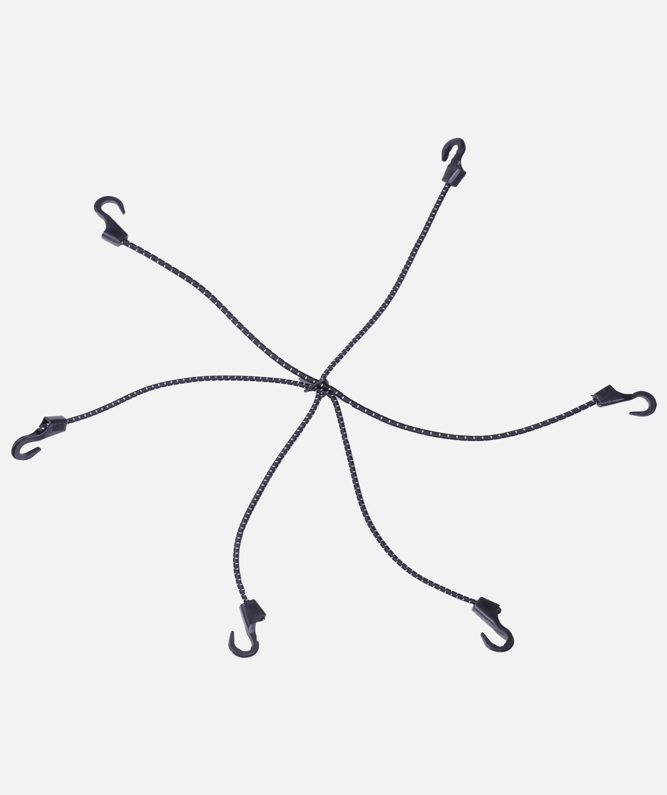 spider-bungee-main