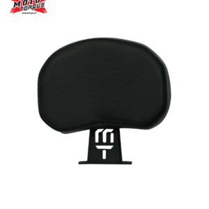 Moto Torque Triumph Speed/Scrambler 400 – Back Rest