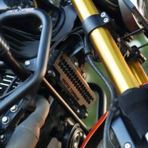 Moto Torque TVS Ronin – Radiator Guard (Black)